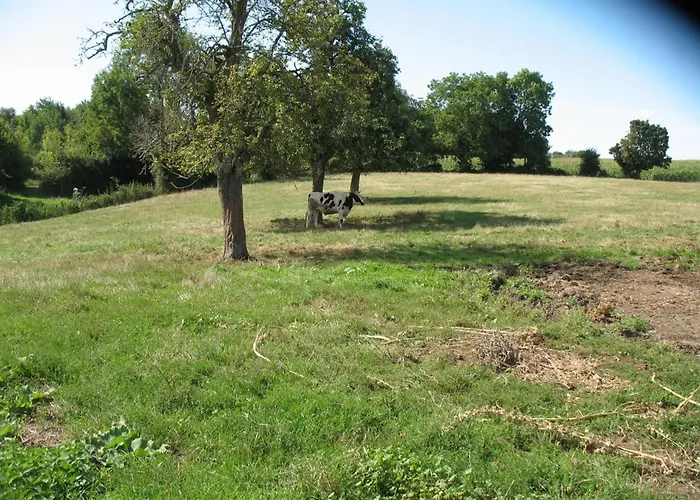 Maison De Bourg Avec Jardin Et Wifi - Bures - Fr-1-497-124 Holiday home Bures (Orne)